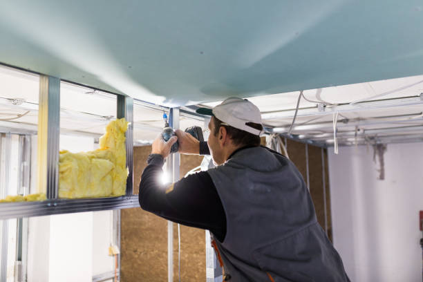 Best Insulation Contractors for Homes  in Southern Pines, NC