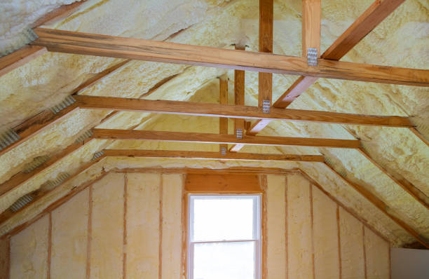 Best Insulation Replacement Services  in Southern Pines, NC