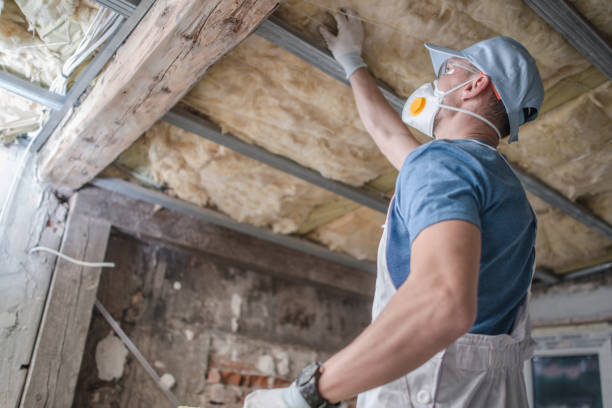 Best Best Insulation Companies  in Southern Pines, NC