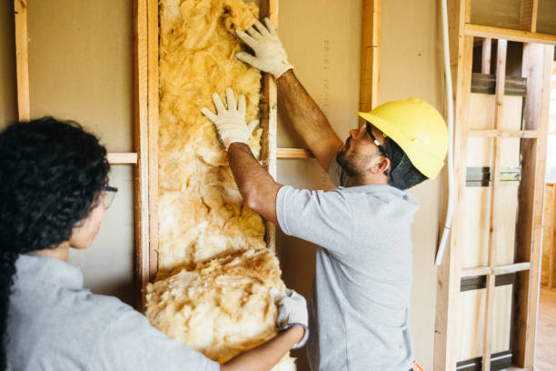Best Professional Insulation Contractor  in Southern Pines, NC